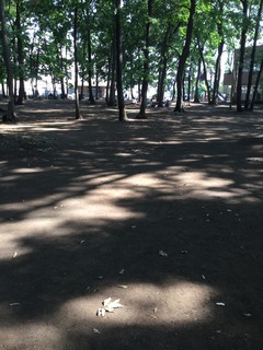 351BD1E3-9C29-4C0B-9BB2-844AA0C8E261.jpeg