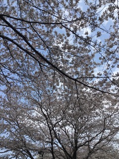 95AA182B-FD8A-441A-B1D1-BD02BE6FADD5.jpeg