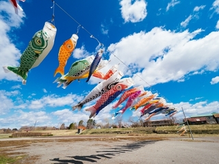 May_koinobori.jpg