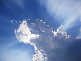 backlight.jpg