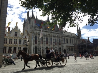 belgium_horses.jpg