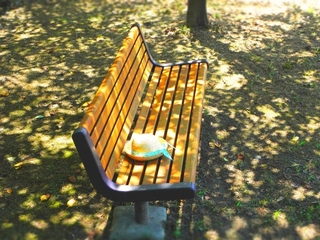 bench.jpg