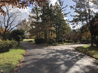 branch_road.jpg