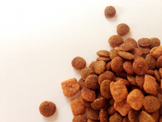 catfood.jpg