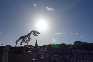 dinosaur_fossil.jpg