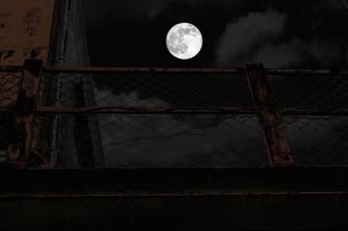 full_moon.jpg