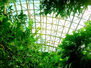greenhouse.jpg