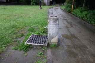 ground-rain.jpg
