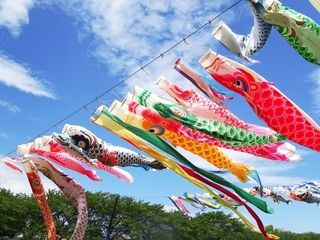 koinobori.jpg