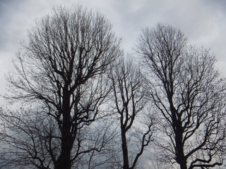 march-skies.jpg