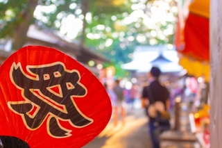matsuri.jpg