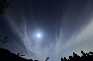 moonlight.jpg