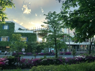 namiki.jpg