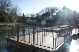 park.jpg