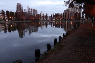 parkandsky.jpg