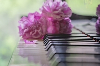 piano_roses.jpg