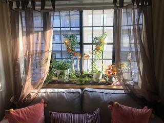 room-morning.jpg