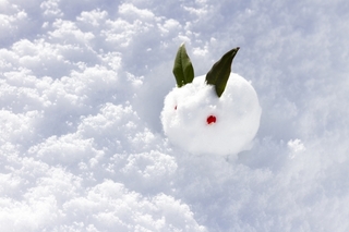 snow-rabbit.jpg