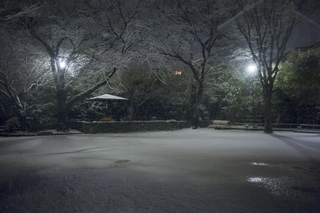 snow.jpg