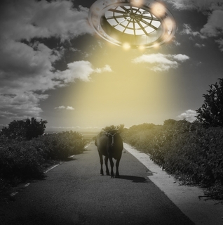 spaceandcow.jpg