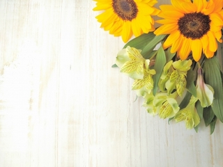 sun_flowers.jpg