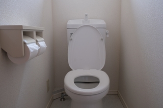 toilet.jpg