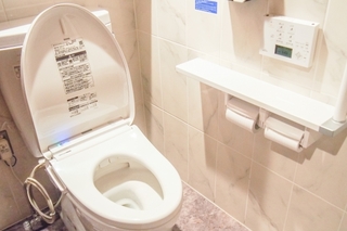 toilet.jpg