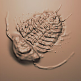 trilobite.jpg