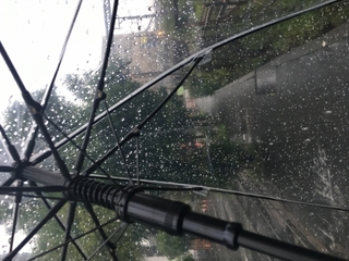 umbrella.jpg
