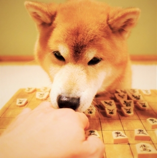 wanchan-shogi.jpg