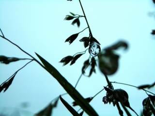 waterdrop.jpg