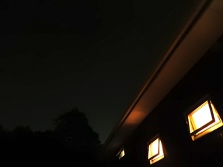 window.jpg