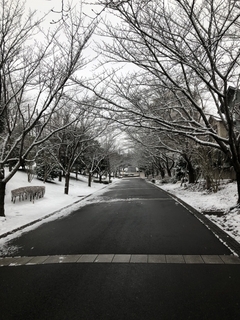 winter-road.jpg